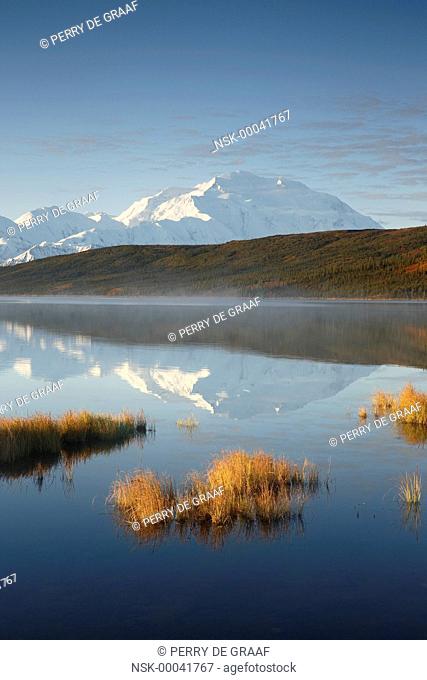Denali, reflected in Wonder Lake, also known as Mount McKinley, its former official name, is North America's highest mountain at 20, 310 feet or 6, 190 meter