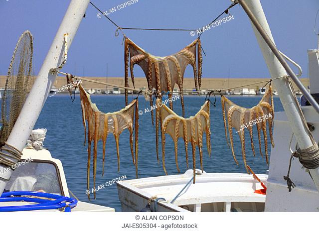 Drying Octopus, Javea, Costa Blanca, Alicante Province, Spain