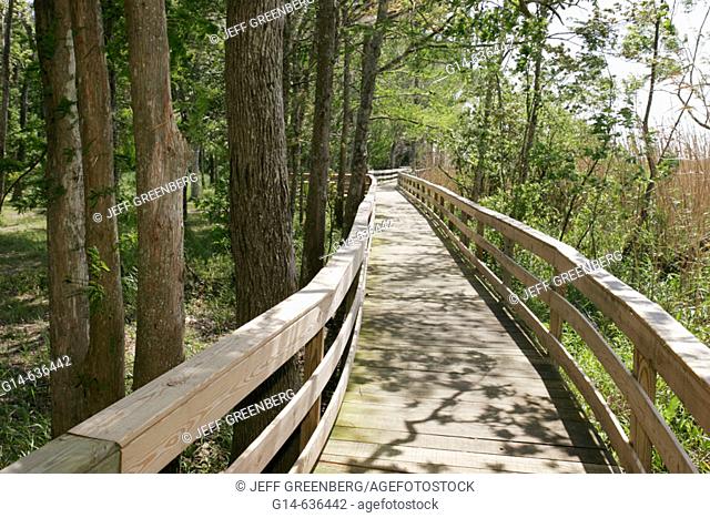 Historic Blakeley State Park, Tensaw River Nature Boardwalk. Alabama. USA