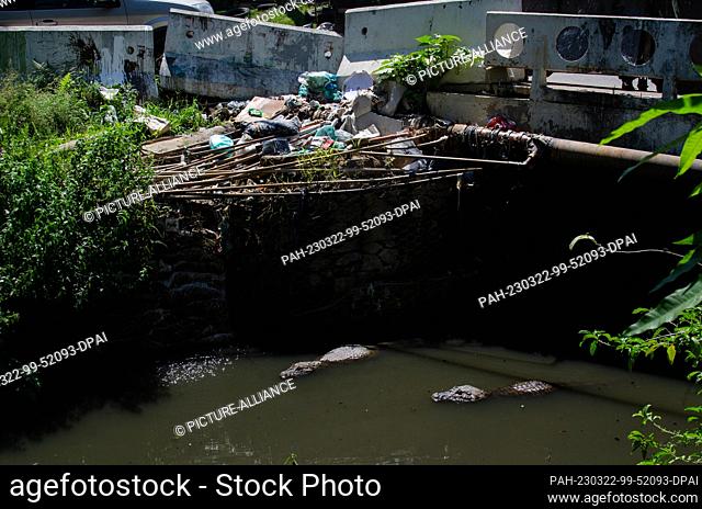22 March 2023, Brazil, Rio de Janeiro: Crocodile caimans swim through a canal full of garbage in the ""Recreio dos Bandeirantes""