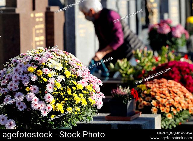 All Saints Day in a cemetery. Chrysanthemum on grave. France