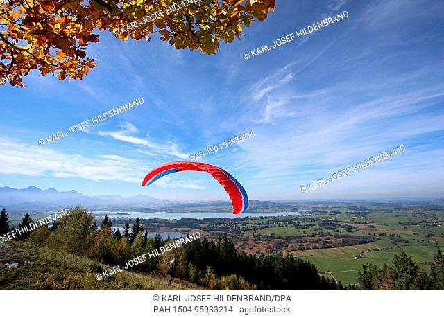 A paraglider in an autumnal setting starts out from the Buchenberg above Forggensees lake near Buching in Bavaria, Germany, 13.10.2017
