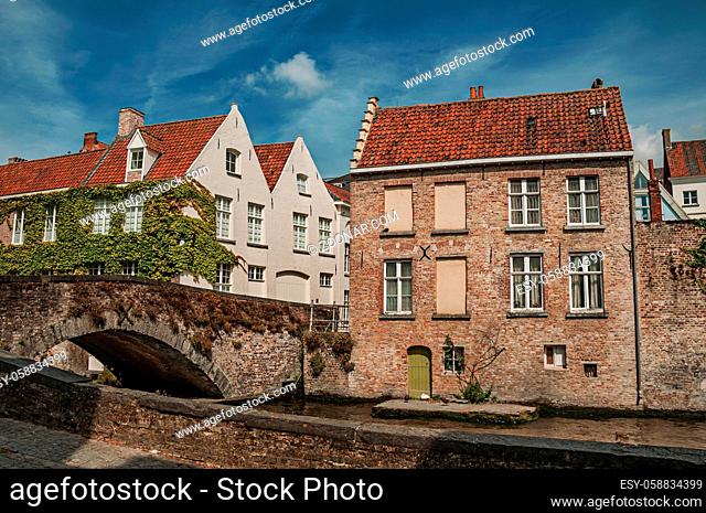 Bridge and brick buildings with creeper on the canal edge in a sunny day at Bruges. With many canals and old buildings, this graceful town is a World Heritage...