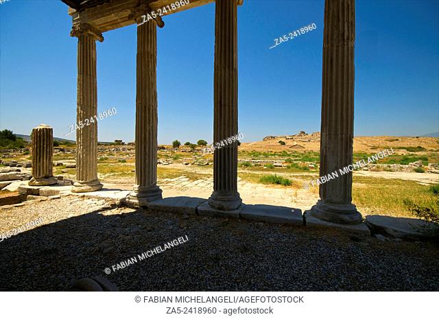 Colums of the Ionic Stoa. Miletos. Anatolia, Turkey