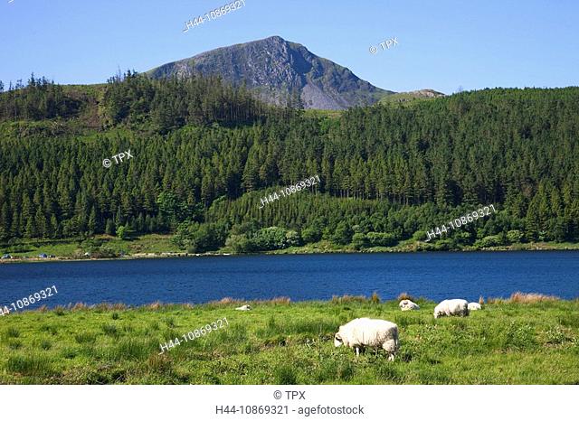 Wales, Gwynedd, Snowdonia National Park, Lake and Mountains