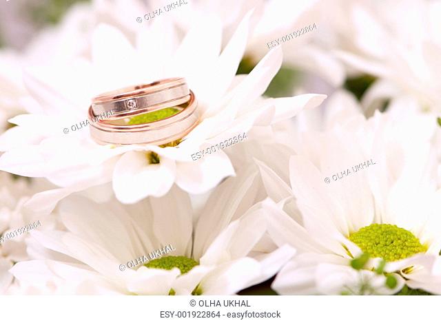Wedding rings on chrysanthemum