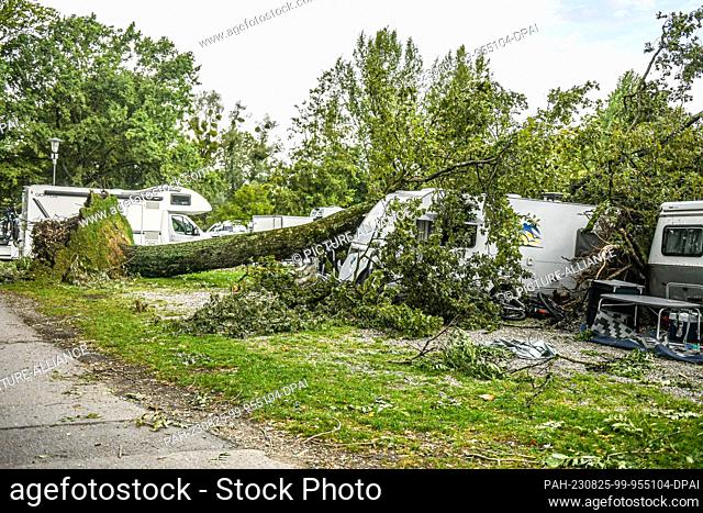 25 August 2023, Bavaria, Lindau: Fallen trees and branches lie on a caravan at a campsite. The previous night, a severe thunderstorm had passed over the...