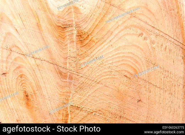 Juniper wood texture background with old natural pattern. Grunge surface rustic wooden backdrop for template website poster or concept design