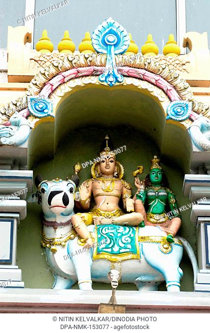 Lord Shiva with his consort Parvati sitting on his vehicle Rishabha Nandi Bull ; stucco figure at entrance of Adi Shankaracharya Math ; Saras baug ; Pune ;...