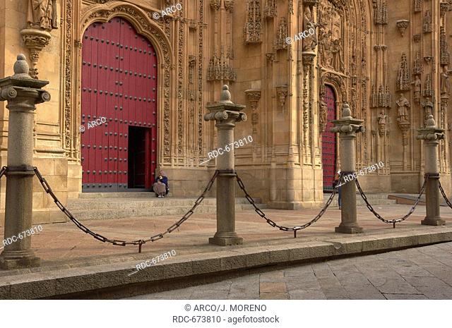 Salamanca, New Cathedral, Via de la Plata, Silver Route, Castilla-Leon, Spain