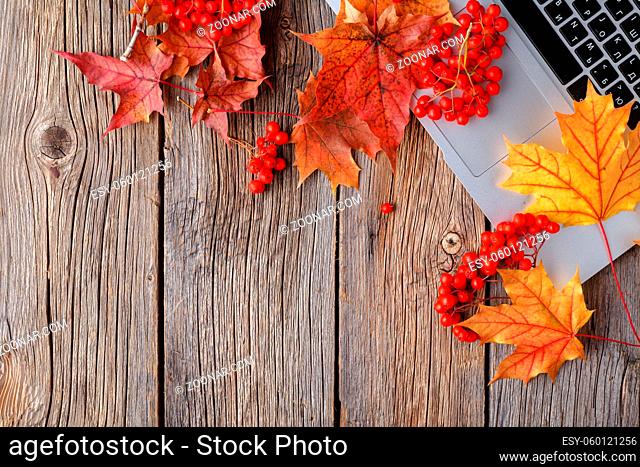 Workspace with yellow and red maple leaves. Desktop with laptop, fallen leaves on grey wooden background