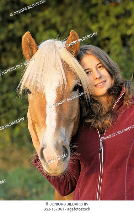 Portrait of young woman and her Haflinger Horse on an early autumn morning. Model release available