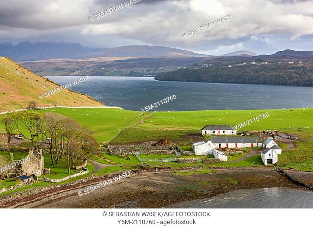 Farmhouses in a field, Loch Harport, Isle of Skye, Inner Hebrides, Scotland, UK, Europe