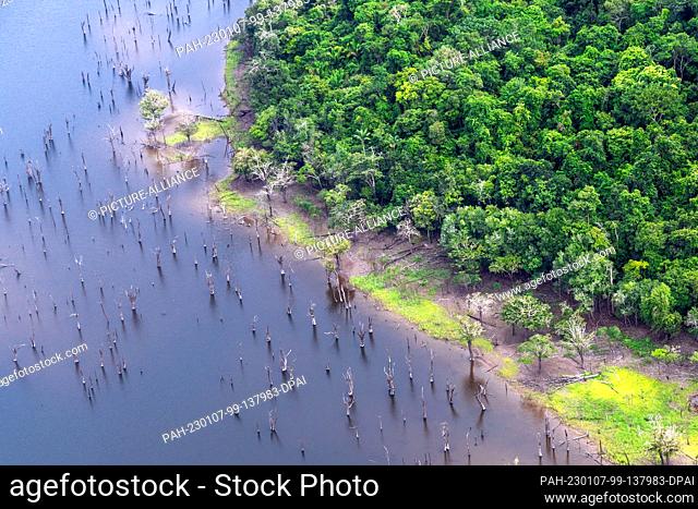 02 January 2023, Brazil, Manaus: An expanse of water can be seen in the rainforest from a seaplane. The world's largest tropical rainforest is crisscrossed by...