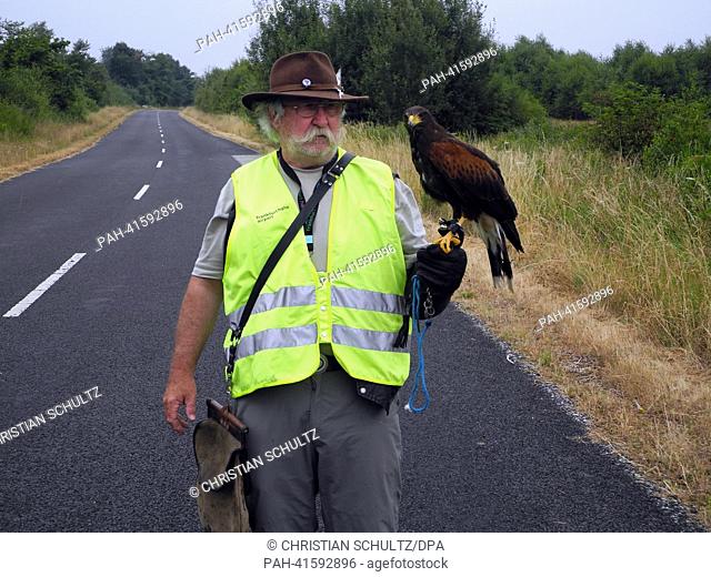 Falconer Walter Zell stands with his bird at the airport in Hahn, Germany, 24 July 2013. Collisions between birds and planes can have disastrous consequences
