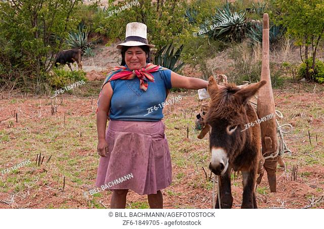 Wonderful farming woman on farm with donkee and traditional dress and smiling happy workers in Chinchero Peru