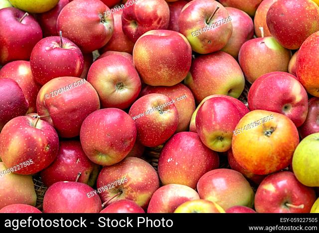 Marktstand mit rötlichen Streuobst Äpfeln