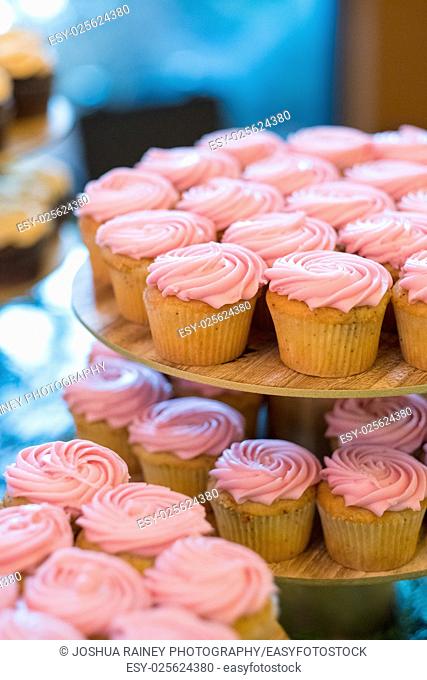 Pink wedding reception cupcakes at a winter wedding in Oregon