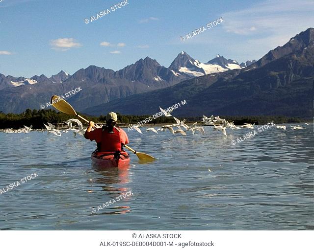 Woman Sea Kayaking in PWS near Valdez SC AK Autumn