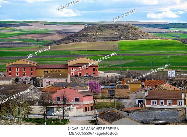 Overview of the Padilla del Duero village and the agricultural fields within the denomination of origin of Ribera del Duero wines in the province of Valladolid...