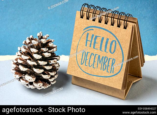 Hello December greeting card - handwriting in a sketchbook with a decorative frosty pine cone, winter calendar concept