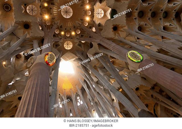 Tree-shaped pillars and ceiling, interior of Sagrada Familia, Basílica i Temple Expiatori de la Sagrada Família, Basilica and Expiatory Church of the Holy...