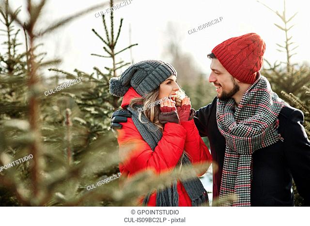 Happy young couple in christmas tree forest
