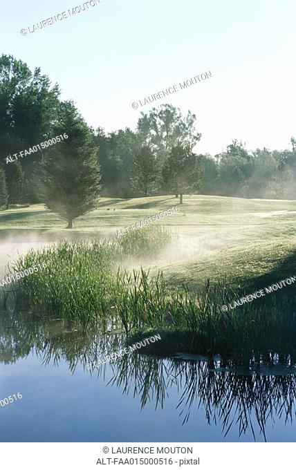 Misty golf course