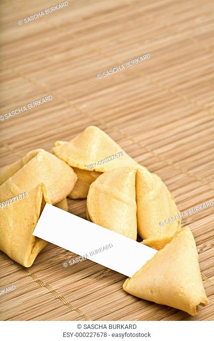 fortune cookies your text