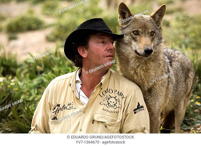 Daniel Weigend, playing and getting pampered by one of his acceptance with European wolves, specifically a female, Wolf park, Antequera, Malaga, Andalusia
