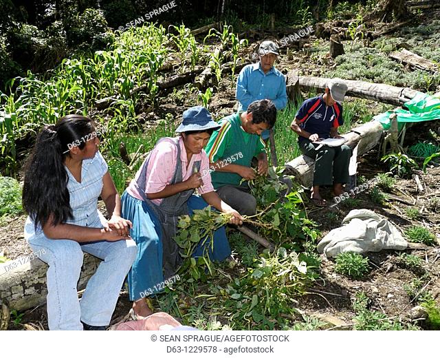 BOLIVIA Visiting the farm of Wilfredo Castro, his wife Vicencia Choque and uncle Manuel Villalobes in Colonia 7 Estrellas
