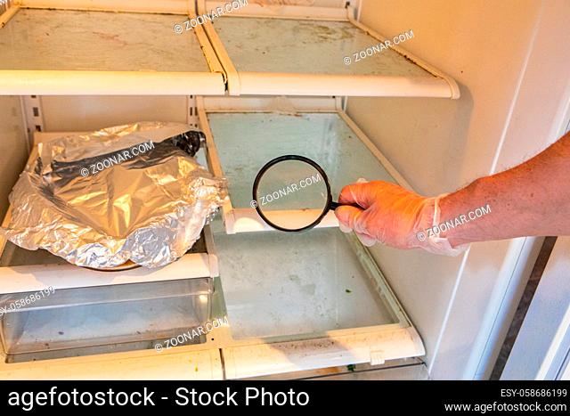 Inspecting black spores (aspergillus) inside a condemned refrigerator using a handheld magnifying lens, visible mold growing on the shelves of a fridge