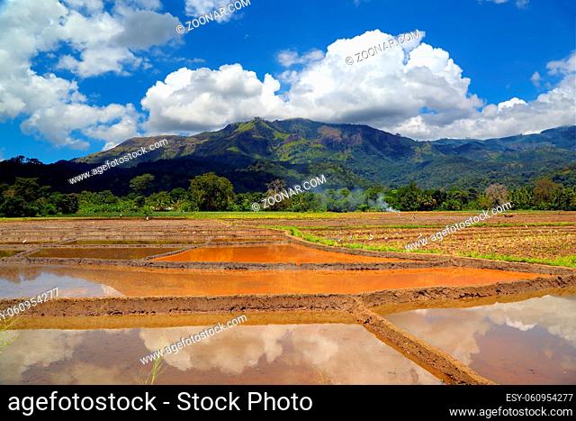 Beautiful mountain landscape with rice plantation in Sri Lanka