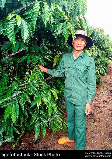 PRODUCTION - 30 August 2022, Vietnam, Pleiku: Nguyen Van Thien, farmer, stands on his coffee plantation. Climate change has long been present in the country on...