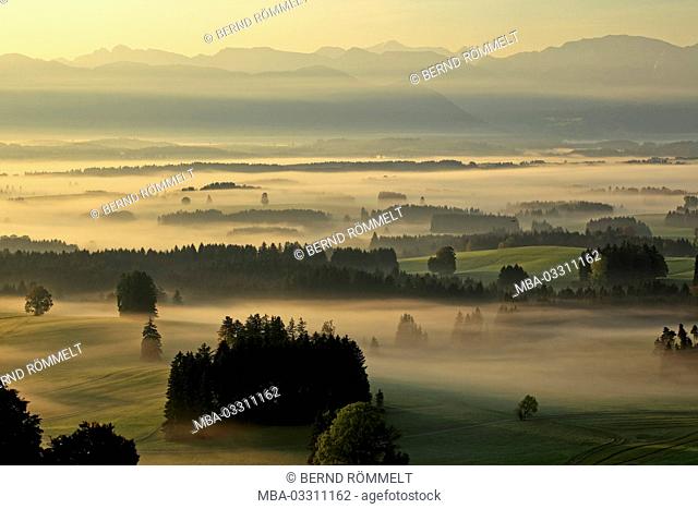 Germany, Bavaria, Allgäu, Ostallgäu district, Königswinkel region, mountain Auer, Zugspitze (mountain), Wetterstein Range, foothills of the Alps