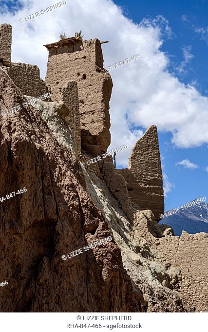 The 16th and 17th century fort and monastery at Basgo, Ladakh, Himalayas, India, Asia