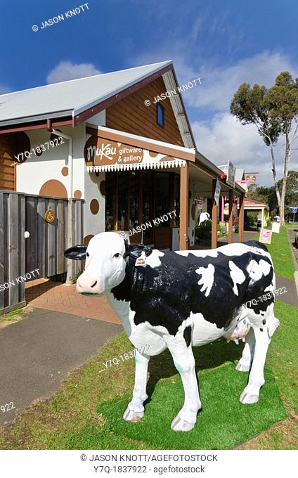 Life-size Friesian dairy cows can be found throughout the country town of Cowaramup, Western Australia, Australia