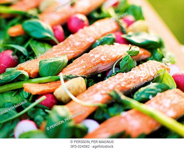 Oven baked rainbow trout with vanilla dressing on raw vegetables