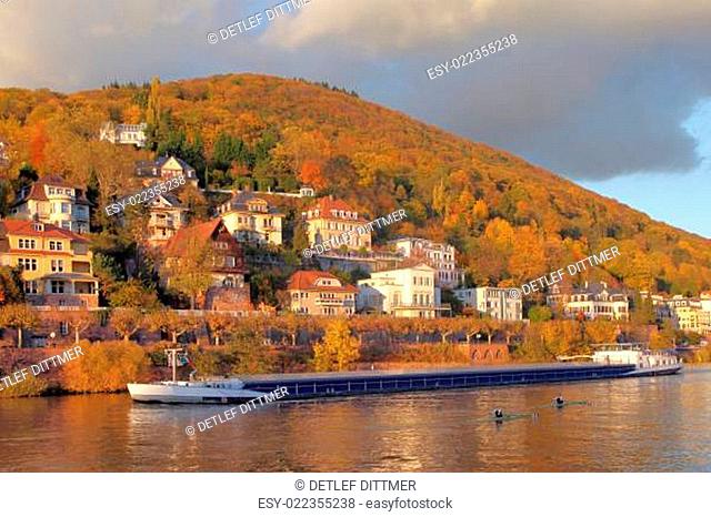 Frachschiff auf dem Neckar bei Heidelberg