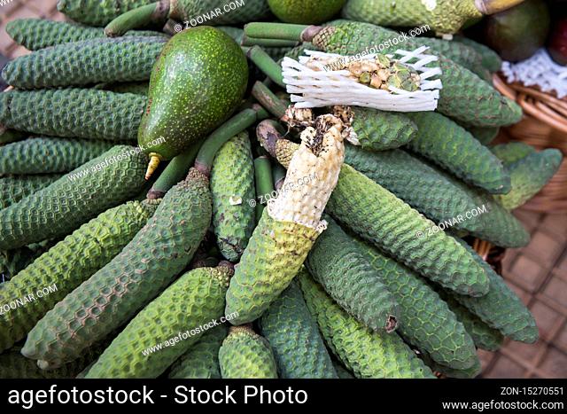 tropical Philodendron fruits at the Mercado dos Lavradores in the city centre of Funchal on the Island Madeira of Portugal