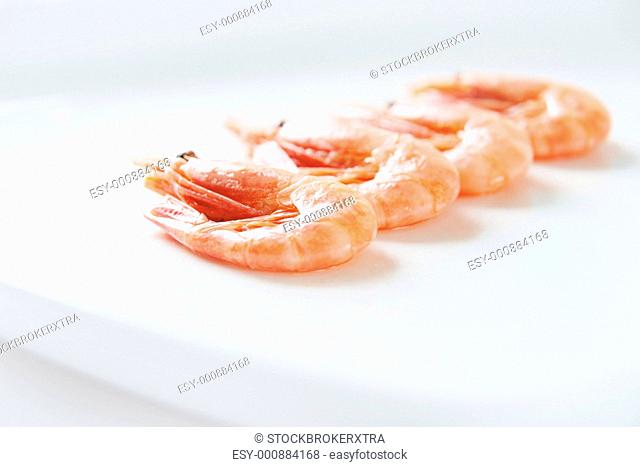 Image of tasty shrimps lying in row