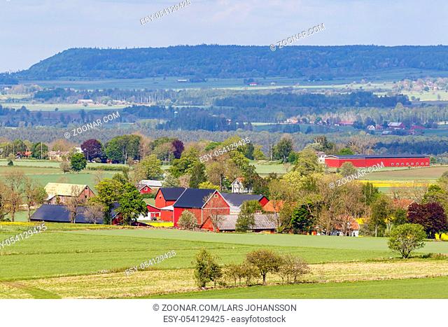 Farm in a rural landscape view