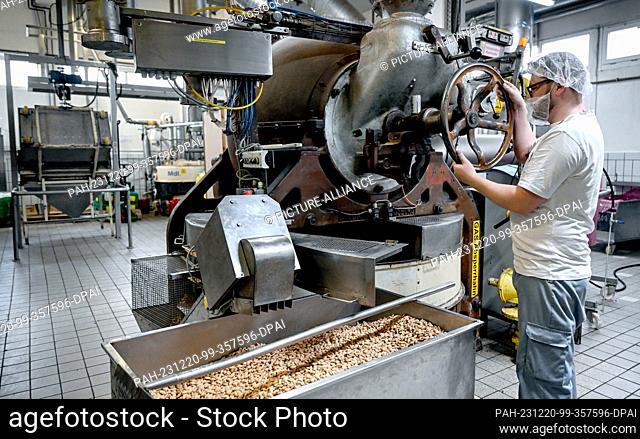 PRODUCTION - 12 December 2023, Berlin: An employee operates a machine in which almonds are roasted at the Neukölln marzipan manufacturer Lemke