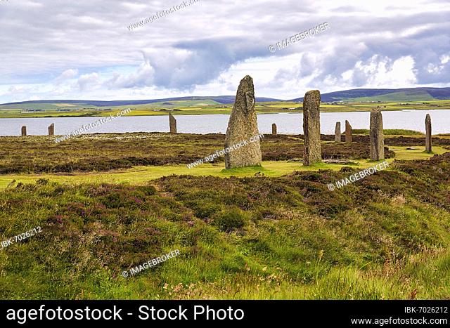 Neolithic stone circle by a loch, Ring of Brodgar, Mainland, Orkney Islands, Scotland, Great Britain