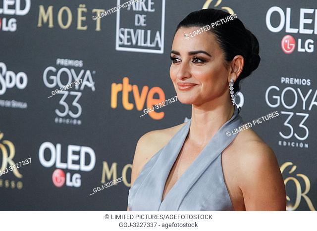 Penelope Cruz attends the Spanish Cinema awards Goya 33rd edition at FIBE attends 33rd Goya Cinema Awards 2019 at Palacio de Congresos y Exposiciones FIBES on...
