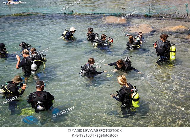 Divers at the red sea, Eilat, Israel