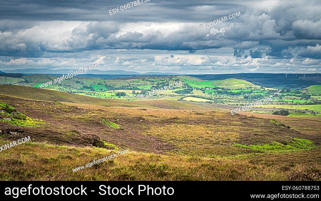 Green meadows and peat bogs with long grass, ferns and heather on hill in Cuilcagh Mountain Park, stormy, dramatic sky in background, Northern Ireland