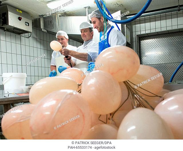 Three butchers filling a 'Saubloder', a pig bladder, with air, Elzach, Germany, 28 January 2016. The pig bladder is the most important part of the 'Schuttig'