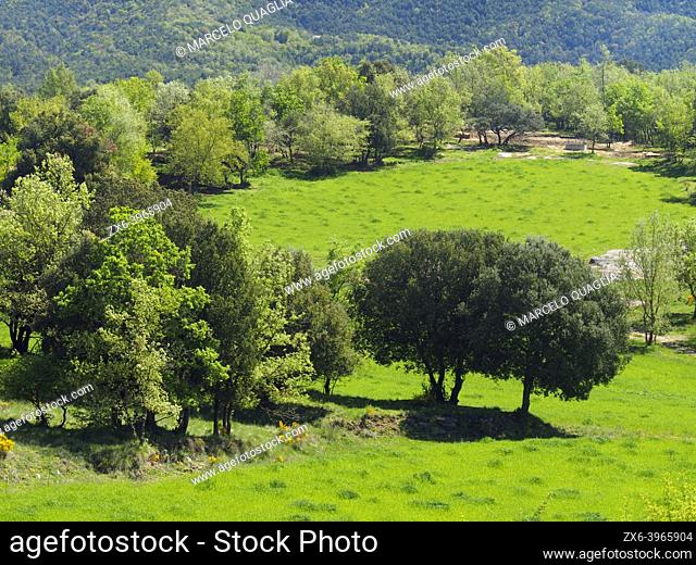 Pasture fields surrounded by Oak tree forest. Santa EulÃ lia village countryside. Lluçanès region, Barcelona province, Catalonia, Spain