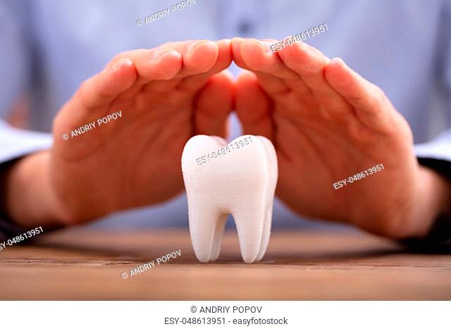 Close-up Of A Person's Hand Protecting Healthy Hygienic White Tooth On Wooden Desk